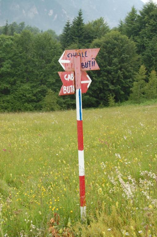 Complexul Turistic Cheile Butii Hotel Cimpu lui Neag Exterior photo